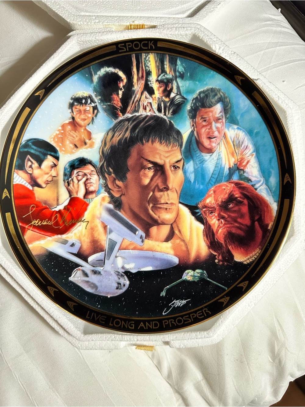 Spock Reborn from the Star  Trek Life of Spock Plate Collection